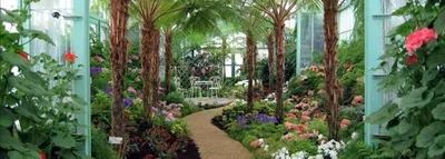 PORADNIA PSYCHOLOGICZNA Rodzinna Paweł Kołakowski